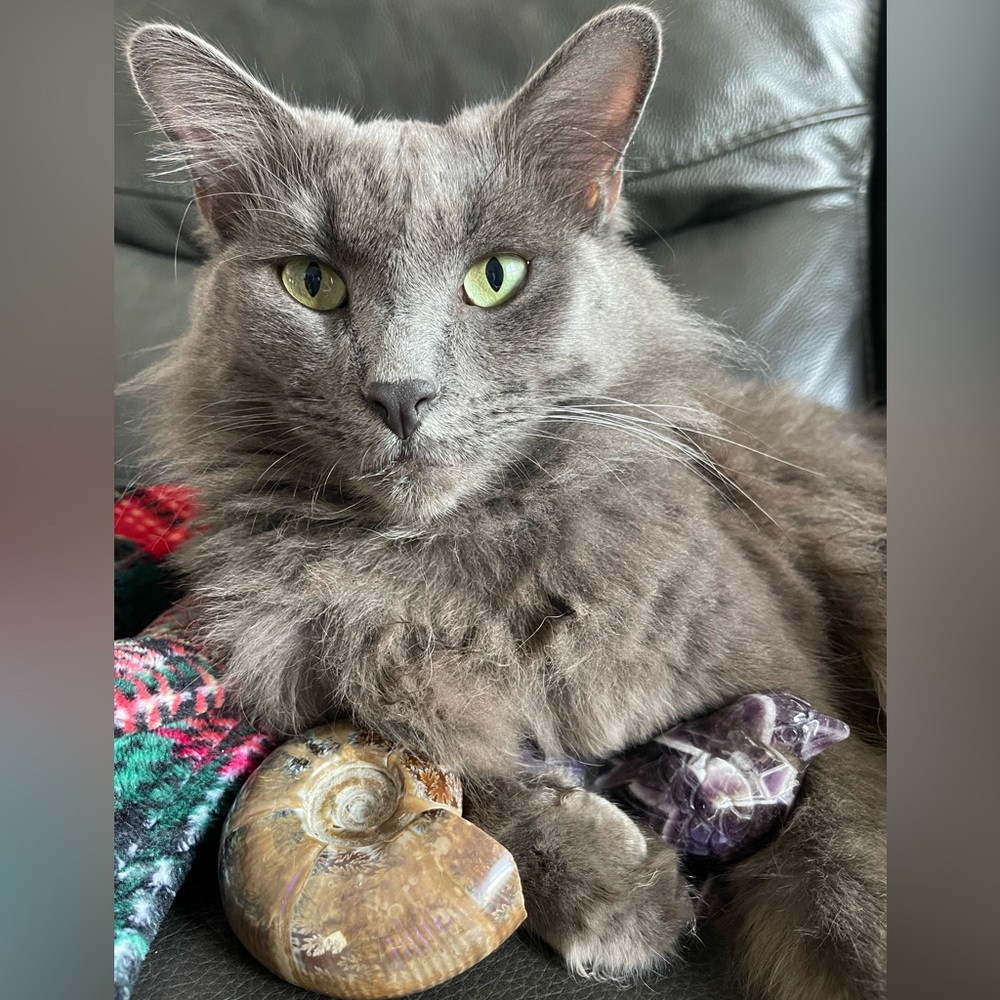 ‼️LIVE SHOW NOTIFICATION POST!‼️